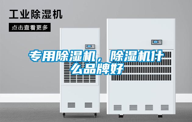 專用除濕機，除濕機什么品牌好