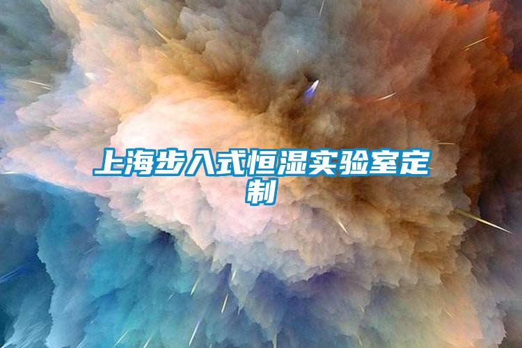 上海步入式恒濕實驗室定制