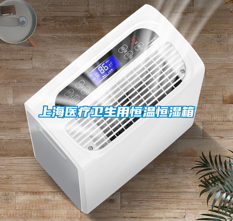 上海醫療衛生用恒溫恒濕箱