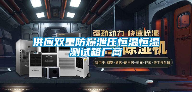 供應(yīng)雙重防爆泄壓恒溫恒濕測(cè)試箱廠商