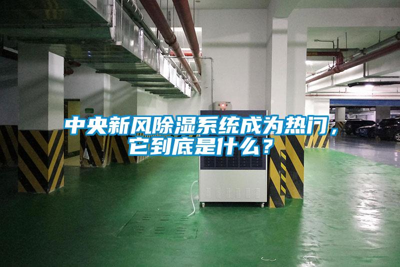中央新風除濕系統成為熱門，它到底是什么？