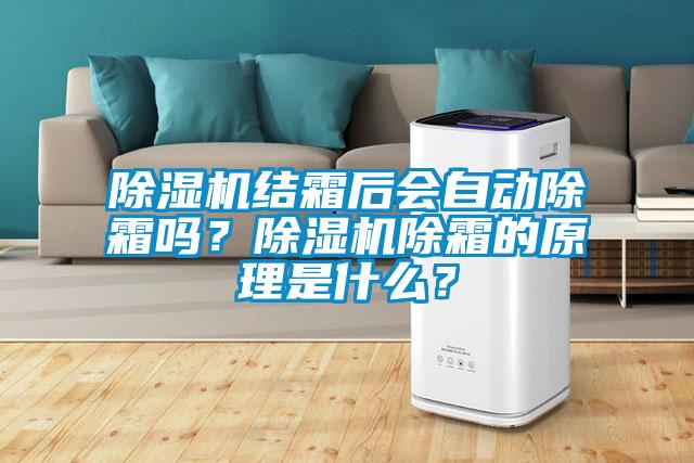 除濕機(jī)結(jié)霜后會自動除霜嗎?除濕機(jī)除霜的原理是什么?
