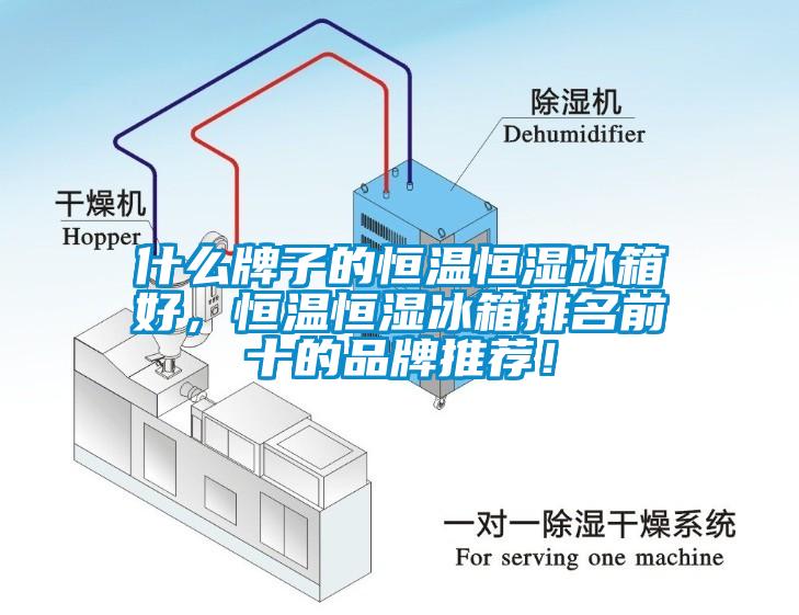什么牌子的恒溫恒濕冰箱好，恒溫恒濕冰箱排名前十的品牌推薦！