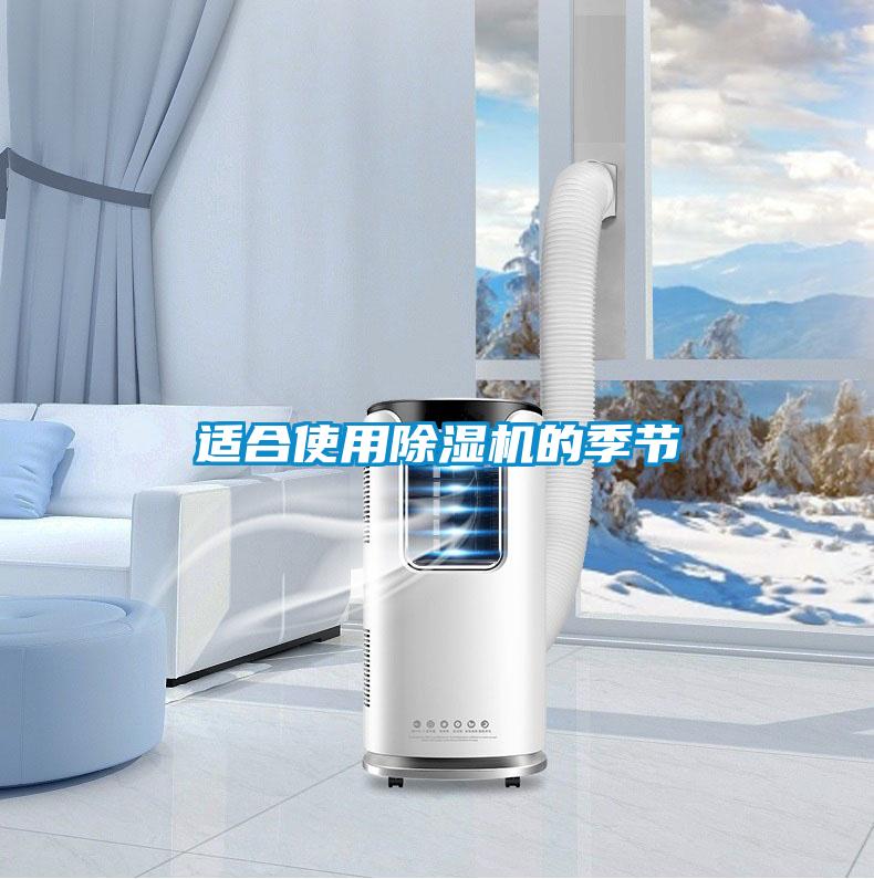 適合使用除濕機的季節