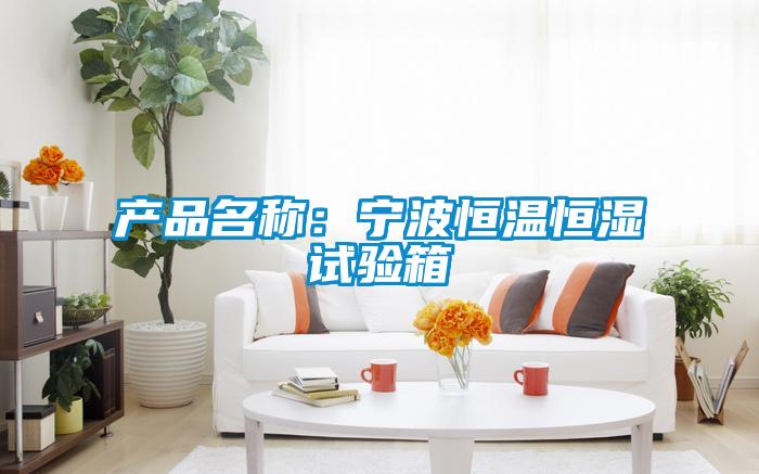 產品名稱：寧波恒溫恒濕試驗箱