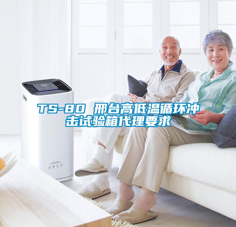 TS-80 邢臺高低溫循環沖擊試驗箱代理要求