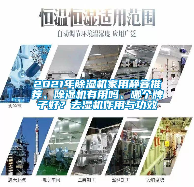 2021年除濕機家用靜音推薦、除濕機有用嗎、哪個牌子好？去濕機作用與功效