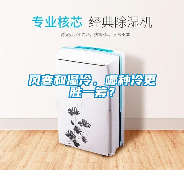 風(fēng)寒和濕冷，哪種冷更勝一籌？