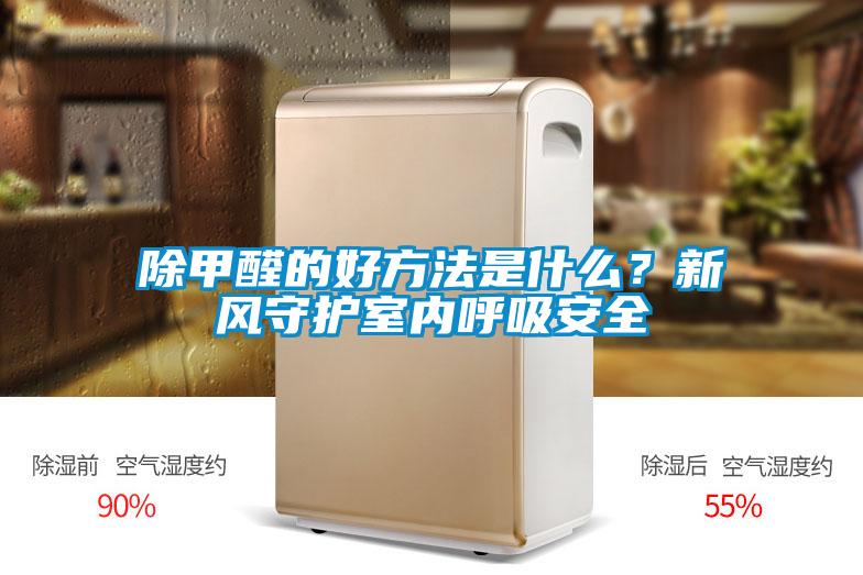 除甲醛的好方法是什么？新風守護室內呼吸安全