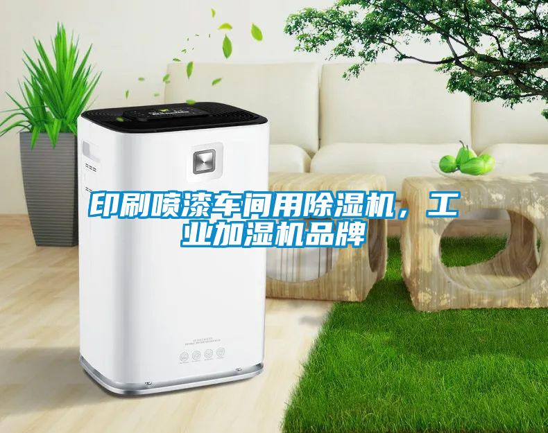 印刷噴漆車間用除濕機，工業(yè)加濕機品牌