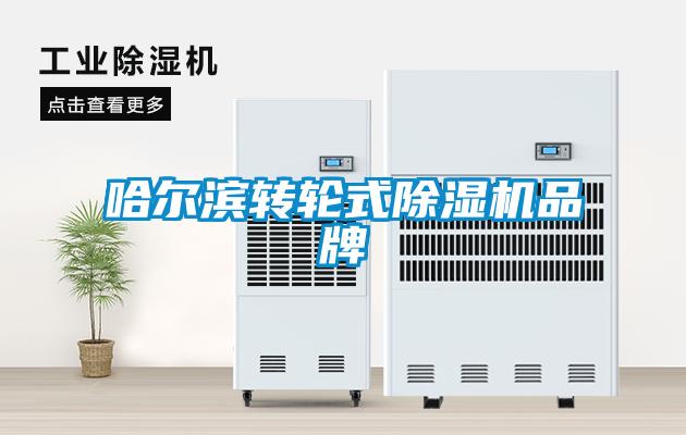 哈爾濱轉輪式除濕機品牌