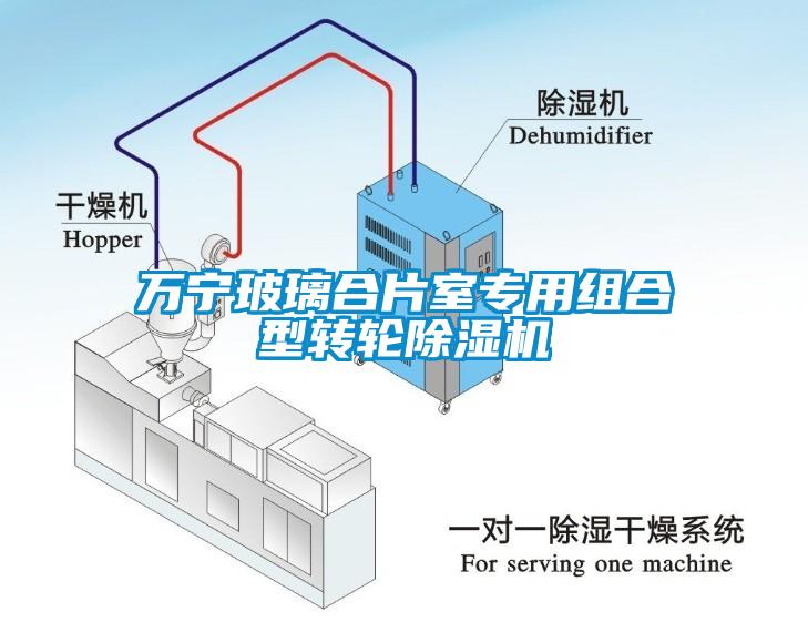 萬寧玻璃合片室專用組合型轉(zhuǎn)輪除濕機(jī)