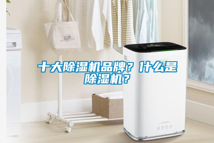 十大除濕機品牌？什么是除濕機？