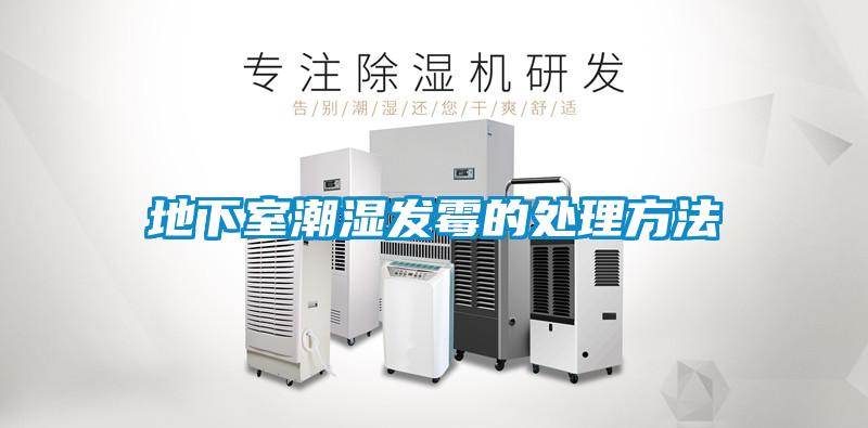 地下室潮濕發霉的處理方法