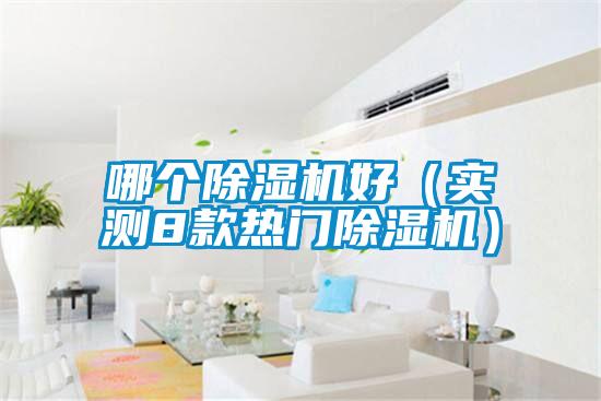 哪個(gè)除濕機(jī)好（實(shí)測(cè)8款熱門(mén)除濕機(jī)）