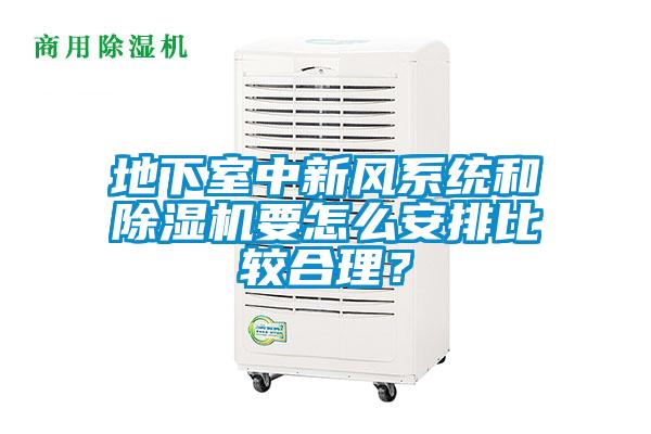 地下室中新風(fēng)系統(tǒng)和除濕機要怎么安排比較合理？