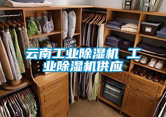 云南工業除濕機 工業除濕機供應