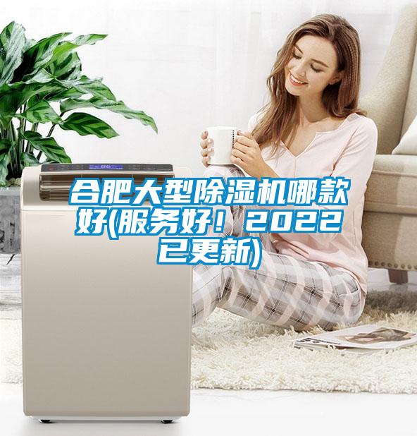 合肥大型除濕機哪款好(服務好！2022已更新)