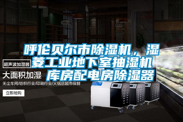 呼倫貝爾市除濕機，濕菱工業地下室抽濕機  庫房配電房除濕器