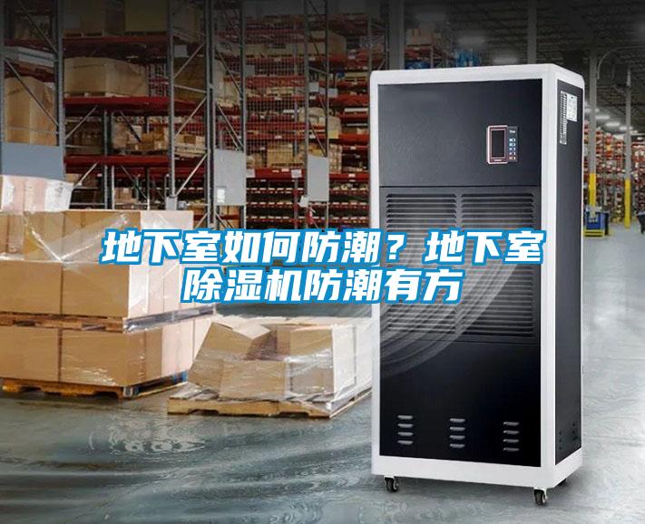 地下室如何防潮？地下室除濕機防潮有方