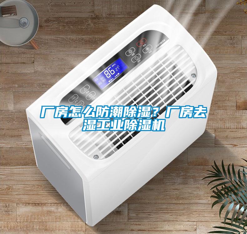 廠房怎么防潮除濕？廠房去濕工業除濕機