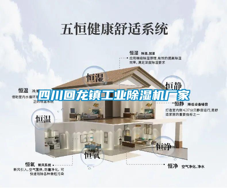 四川回龍鎮工業除濕機廠家