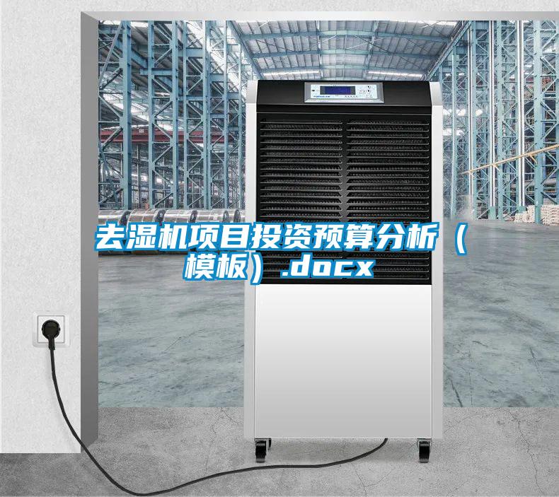 去濕機項目投資預算分析（模板）.docx