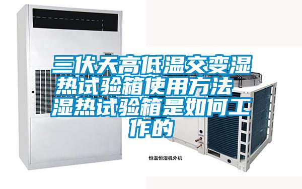 三伏天高低溫交變濕熱試驗(yàn)箱使用方法 濕熱試驗(yàn)箱是如何工作的