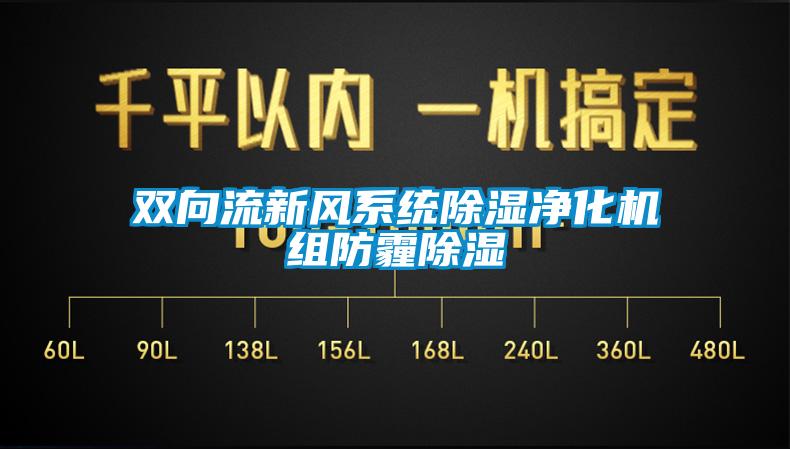 雙向流新風系統除濕凈化機組防霾除濕