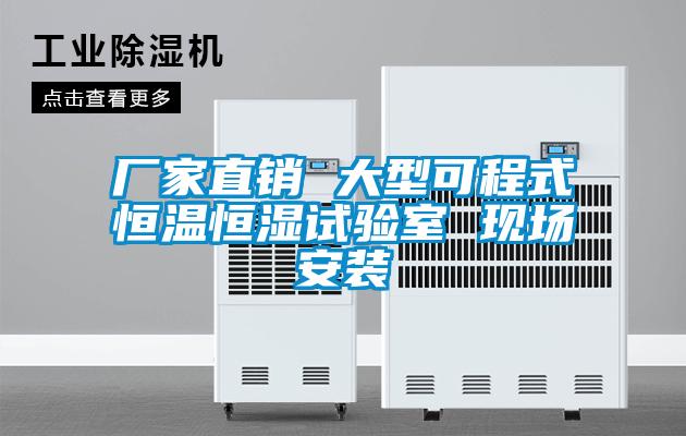 廠家直銷 大型可程式恒溫恒濕試驗(yàn)室 現(xiàn)場安裝