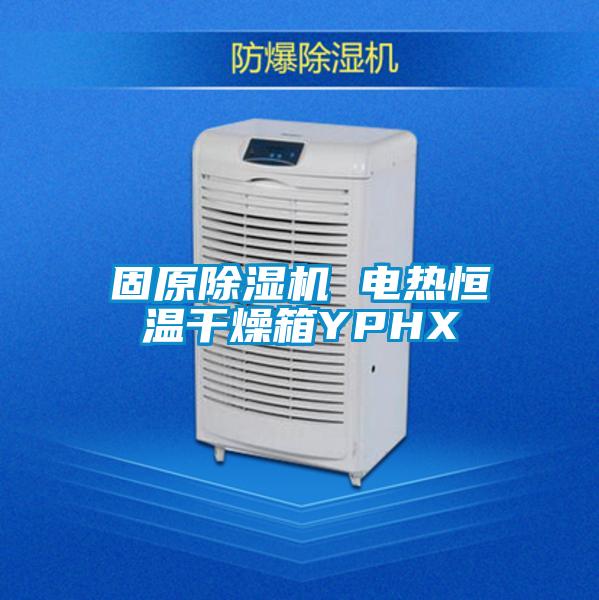 固原除濕機(jī) 電熱恒溫干燥箱YPHX
