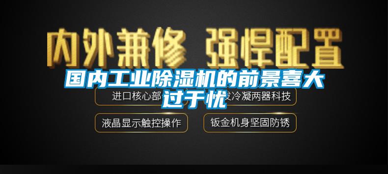 國內(nèi)工業(yè)除濕機的前景喜大過于憂
