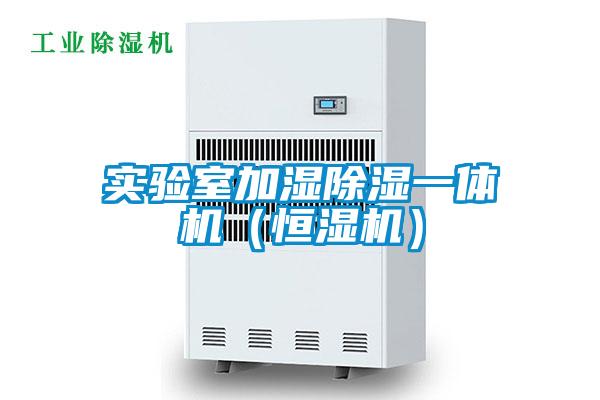 實驗室加濕除濕一體機（恒濕機）