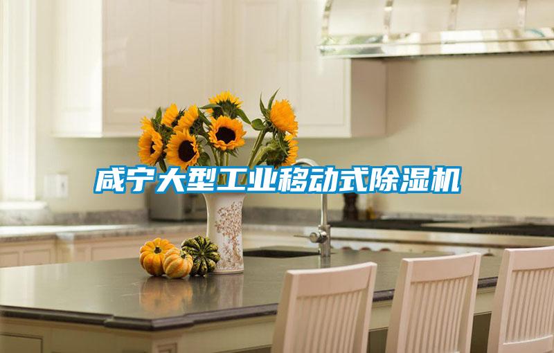 咸寧大型工業移動式除濕機