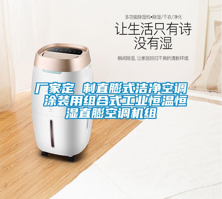 廠家定 制直膨式潔凈空調(diào) 涂裝用組合式工業(yè)恒溫恒濕直膨空調(diào)機組