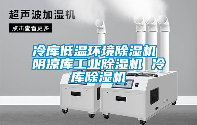 冷庫低溫環境除濕機 陰涼庫工業除濕機 冷庫除濕機