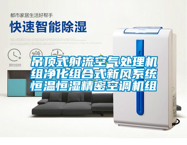 吊頂式射流空氣處理機組凈化組合式新風系統(tǒng)恒溫恒濕精密空調(diào)機組