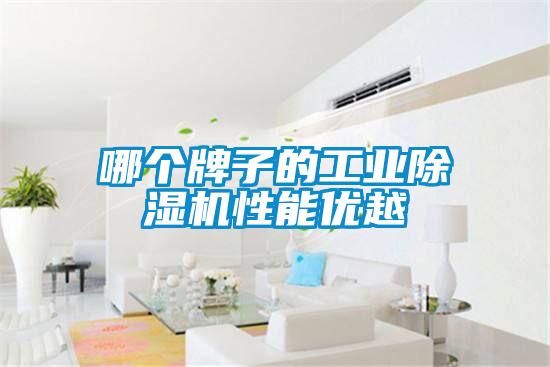 哪個牌子的工業除濕機性能優越