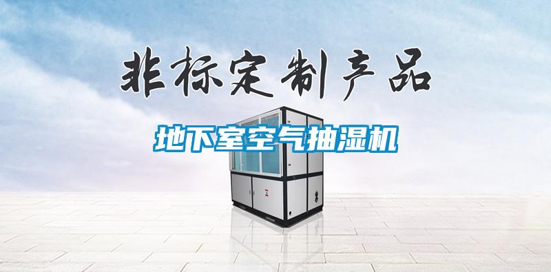 地下室空氣抽濕機