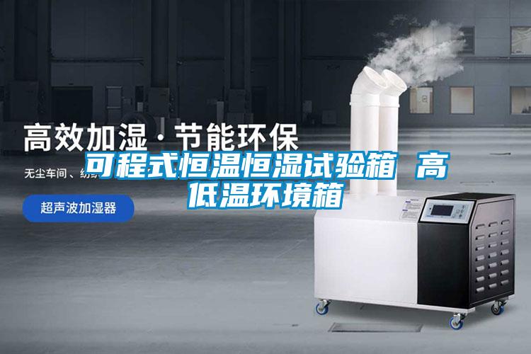 可程式恒溫恒濕試驗箱 高低溫環(huán)境箱