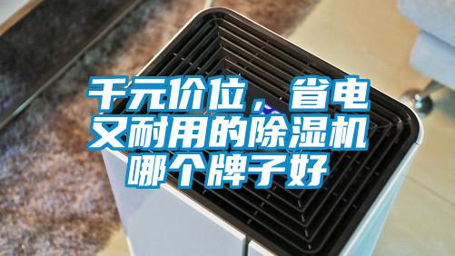 千元價位，省電又耐用的除濕機哪個牌子好