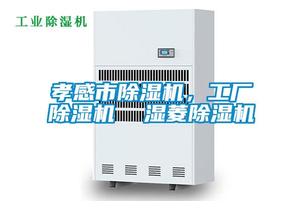 孝感市除濕機，工廠除濕機  濕菱除濕機