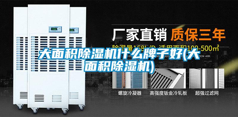 大面積除濕機什么牌子好(大面積除濕機)