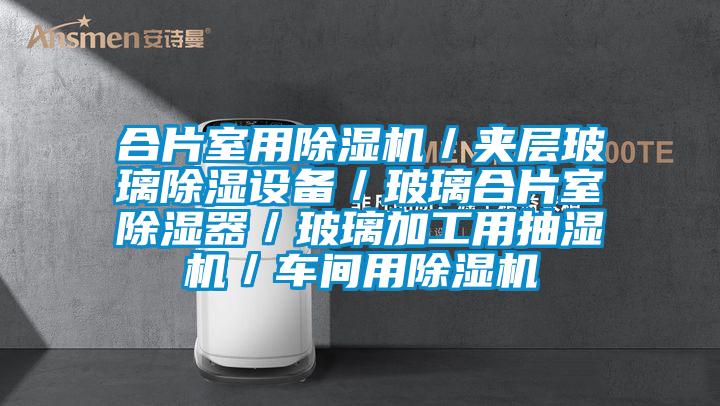 合片室用除濕機／夾層玻璃除濕設備／玻璃合片室除濕器／玻璃加工用抽濕機／車間用除濕機
