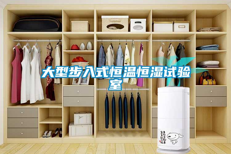 大型步入式恒溫恒濕試驗室