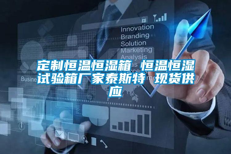 定制恒溫恒濕箱 恒溫恒濕試驗箱廠家泰斯特 現(xiàn)貨供應
