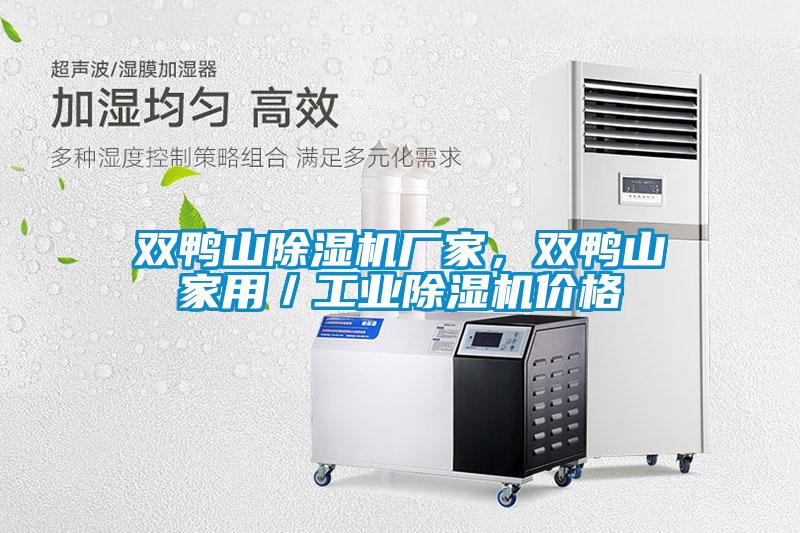 雙鴨山除濕機廠家，雙鴨山家用／工業除濕機價格