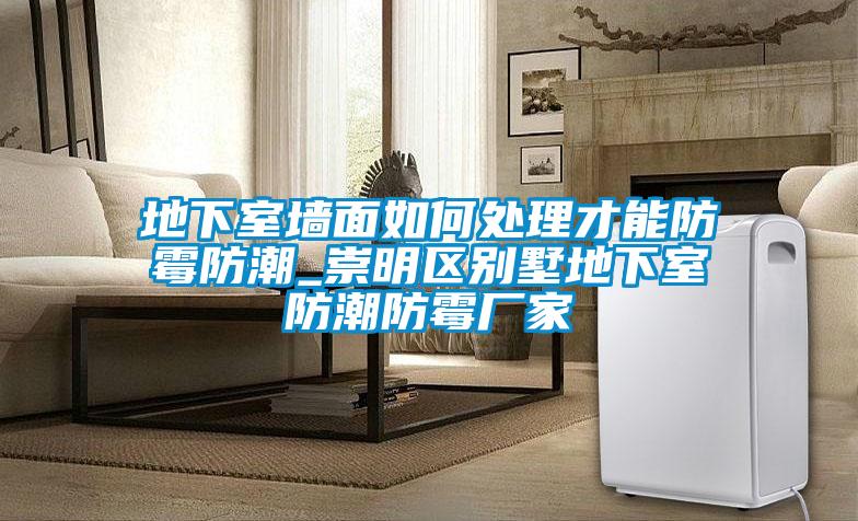 地下室墻面如何處理才能防霉防潮_崇明區別墅地下室防潮防霉廠家