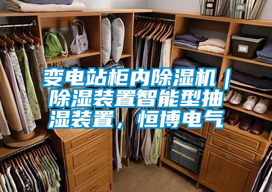 變電站柜內(nèi)除濕機｜除濕裝置智能型抽濕裝置，恒博電氣