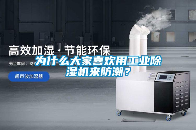 為什么大家喜歡用工業(yè)除濕機(jī)來防潮？